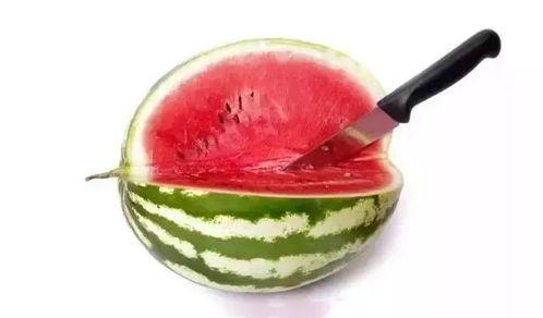 每天吃高端瓜,尽享生活甜蜜时光