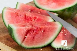 吃瓜锦州大瓜,揭秘吃瓜群众的狂欢盛宴