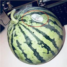 常德网红吃瓜,揭秘当地美食背后的故事