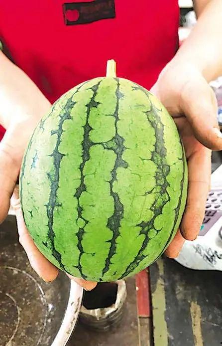 独山吃瓜事件,一场引发社会热议的网络狂欢