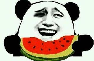 吃瓜群众男朋友