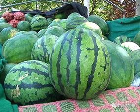 吃瓜不一定买瓜,围观不等于消费，揭秘网络热议背后的真相