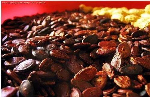 红瓜子瓜壳怎么吃