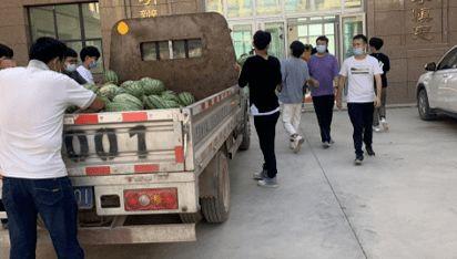 学校吃瓜最新事件,揭秘学校吃瓜事件背后的真相